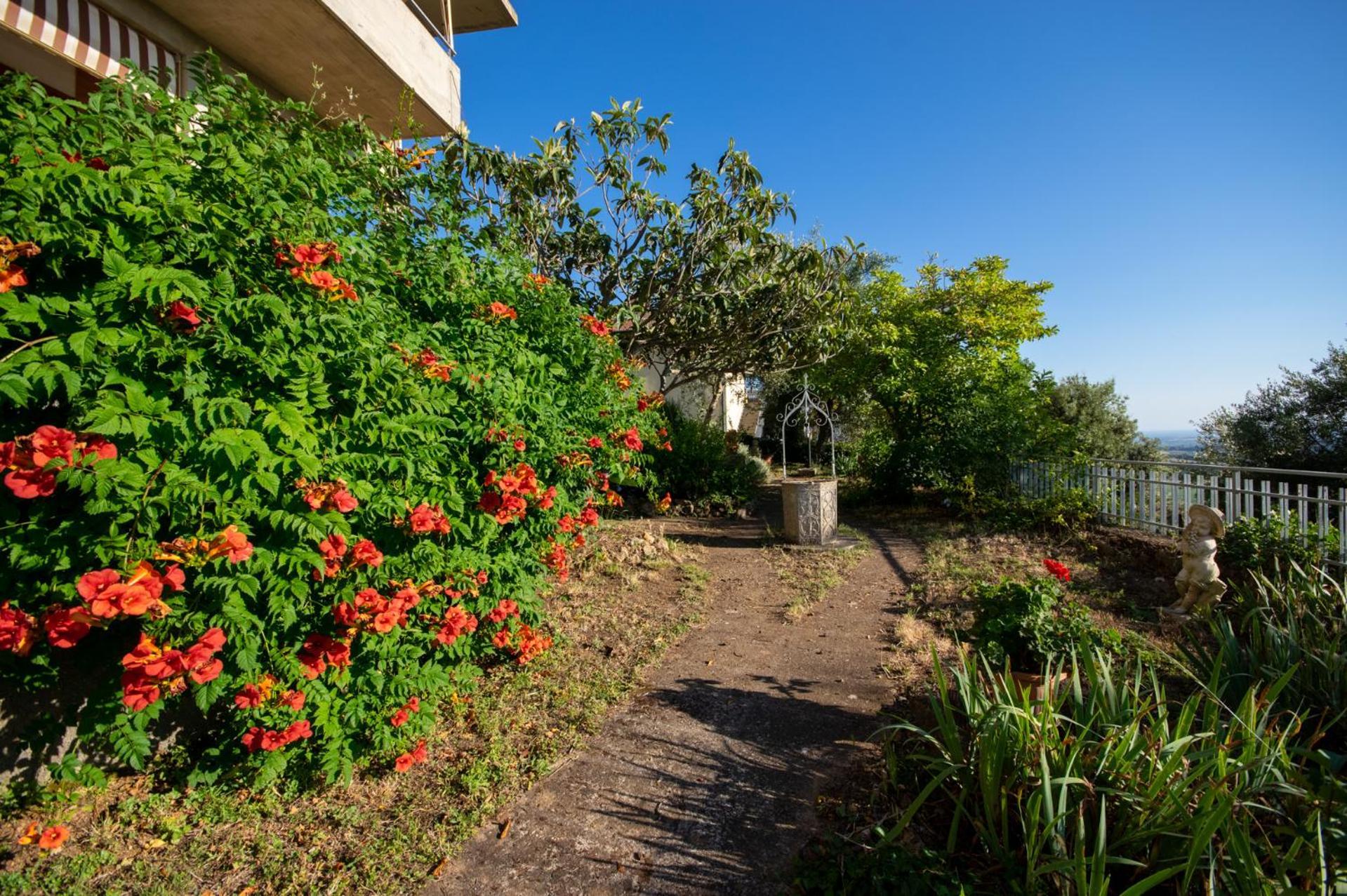 Villa Panoramica Garden Bike Massa Marittima Eksteriør bilde